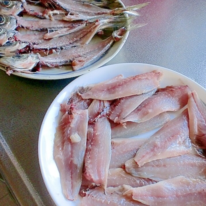 じぇ じぇ 簡単目からうろこのアジの3枚おろし レシピ 作り方 By Hiromu 楽天レシピ じぇ じぇ 簡単目からうろこのアジの3枚おろし レシピ 作り方 By Hiromu 楽天レシピ
